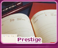 Promotion & Design