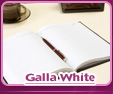 Promotion & Design